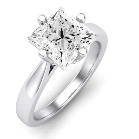 Gardenia Moissanite Matching Band for Princess Center (Band Only. Engagement Ring Not Included)