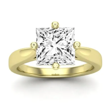 Gardenia Moissanite Matching Band for Princess Center (Band Only. Engagement Ring Not Included)