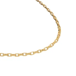 Gold Filled Rollo Necklace