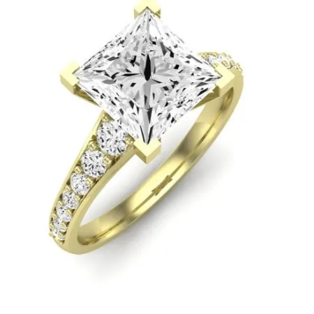 Holly Moissanite Matching Band for Princess Center (Band Only. Engagement Ring Not Included)