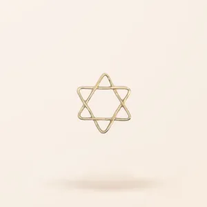 Limited Edition 14K Gold Wire Star of David Charm